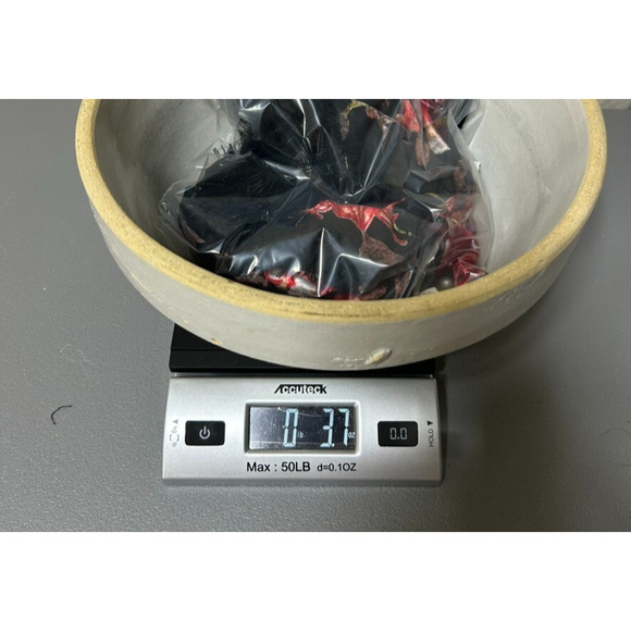 Rewind Womens Y2K Velvet Burnout Top Size S Dark Floral Whimsigoth Fairy Vampy - Picture 12 of 13